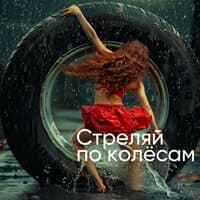 Стреляй по колёсам