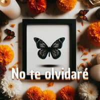 No Te Olvidaré