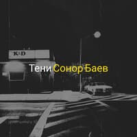 Тени