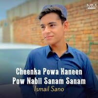 Cheenka Powa Kaneen Pow Nabii Sanam Sanam