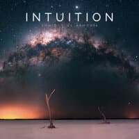 Intuition