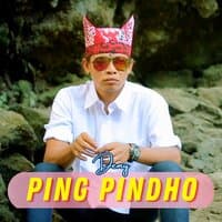 Ping Pindho