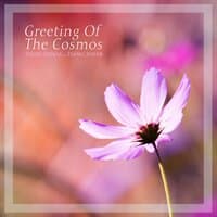 Greetings from Cosmos