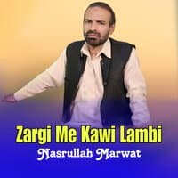 Zargi Me Kawi Lambi