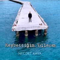 Necdet Kaya