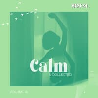 Calm & Collected 016