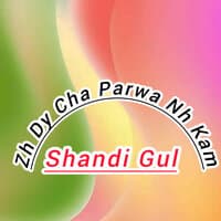 Zh Dy Cha Parwa Nh Kam