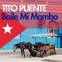 Baile Mi Mambo