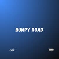 Bumpy Road