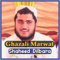 Shaheed Dilbara