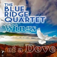 Wings of a Dove