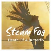 Death of a Butterfly