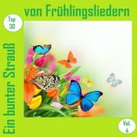 Top 30: Ein bunter Strauß von Frühlingsliedern, Vol. 4