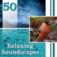 50 Relaxing Soundscapes: Natural Ambiences for Yoga, Deep Meditation & Healing, Music for Stress Relief