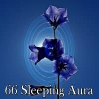 66 Sleeping Aura