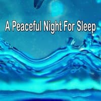 A Peaceful Night For Sleep