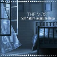 The Most Soft Nature Sounds to Relax, Fall Asleep and Sleep Through All Night