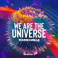 We Are the Universe