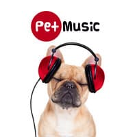 Pet Music - Classical Sounds to Calm Your Dogs