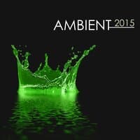 Ambient 2015