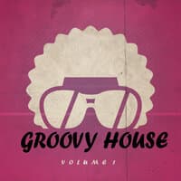 Groovy House, Vol. 1