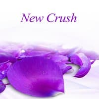 New Crush - Music of Love, Feel Love, Common Time, Best Table, Time Dating, Moonlight