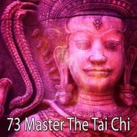 73 Master The Tai Chi