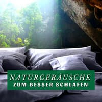 Naturgeräusche zum Besser Schlafen: Beruhigende Lieder zum Schnell Einschlafen und Klares Träumen