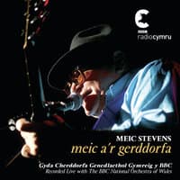 Meic A'R Gerddorfa / Meic And The Orchestra