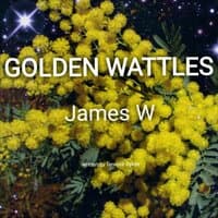 Golden Wattles