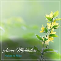 18 Mood Uplifting Tracks for Inner Peace