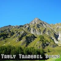 Truly Tranquil Sound