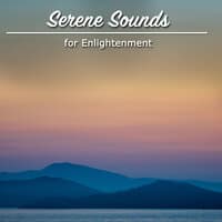 19 Calm Oasis Sounds for Guided Meditation