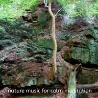 Nature Music for Calm Meditation