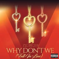 Why Don't We (Fall in Love)