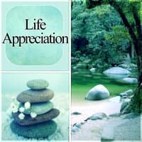 Life Appreciation - Calm Music with Nature Sounds, Spiritual Development & Healthy Lifestyle, New Age Music for Yoga & Meditation