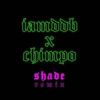 IAMDDB X CHIMPO