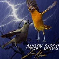 Angry Birds