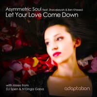 Let Your Love Come Down (DJ Spen & N'Dinga Gaba Dub)