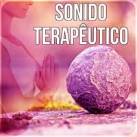 Sonido Terapêutico - Musica para Sanar el Alma, Musica para Meditacion, Relajacion y Serenidad, Bienestar, Reiki, Ayurveda, Meditar