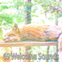 69 Welcome Sounds