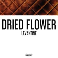 Levantine