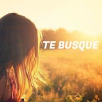 Te Busque