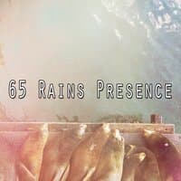 65 Rains Presence