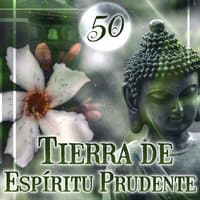 50 Tierra de Espíritu Prudente: Cuidado de la Salud Espiritual, Sonidos de la Naturaleza para la Meditación, Spa, Reiki, Yoga, Mantener la Calma, Completo Relajarse, Profunda Calmante Espiritualidad