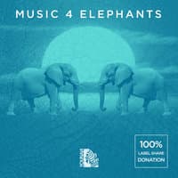 Music 4 Elephants