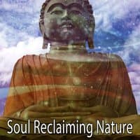 Soul Reclaiming Nature