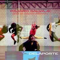 Pájaro Salvaje