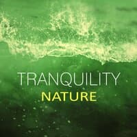 Tranquility Nature – New Age, Nature Sounds, Calm Waves, Yoga, Massage Music, Sounds Therapy, Peaceful Spa