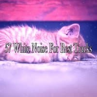 57 White Noise For Rest Tracks